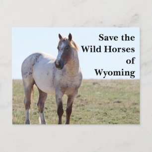 Cartão Postal Salve os Cavalos Selvagens do Cartaz Wyoming