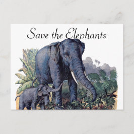 Cartão Postal Salve os Elefantes