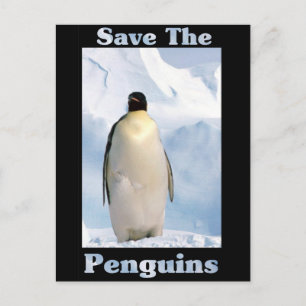 Cartão Postal Salve os pinguins