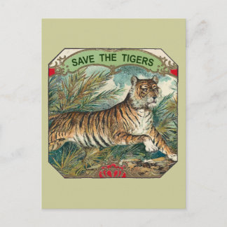 Cartão Postal Salve Os Tigres