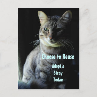 Cartão Postal Salve Uma Vida! Adote Um Prateleira!