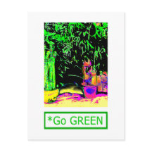 Samambaia Chifre-de-Vado GANHE VERDE1a jGibney O M