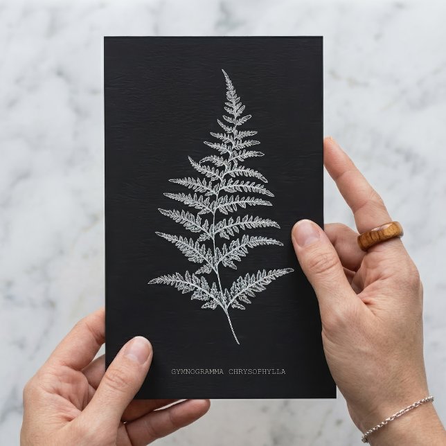 Cartão Postal Samambaia Dourada, Gymnogramma Chrysophylla (Golden Fern Frond, Gymnogramma Chrysophylla. Postcard)