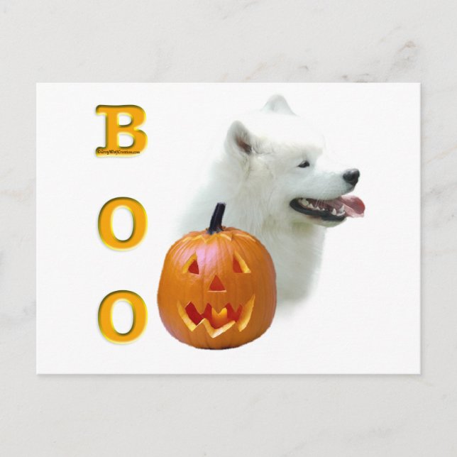Cartão Postal Samoyed Boo (Frente)