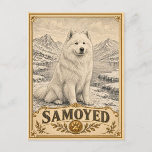 Cartão Postal Samoyed, Coleção de Cães Antigos