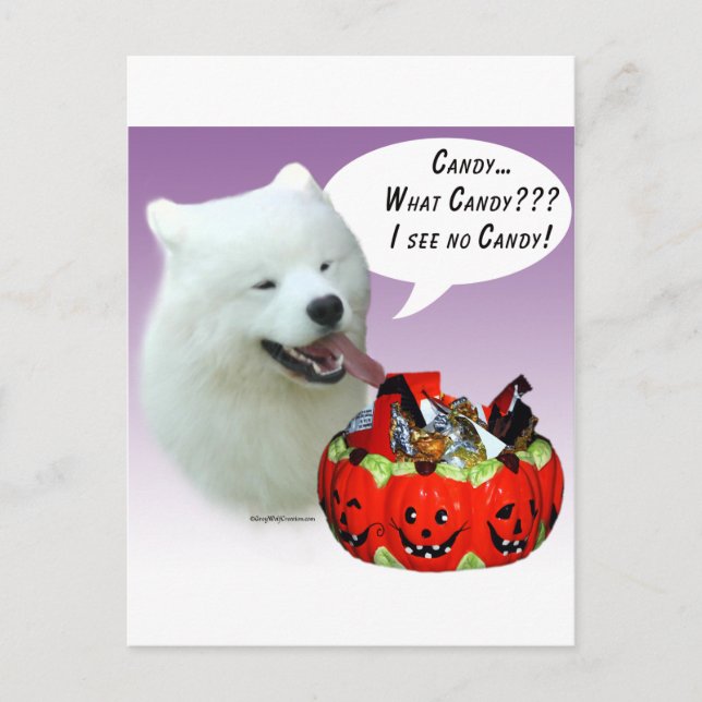 Cartão Postal Samoyed Halloween Candy (Frente)