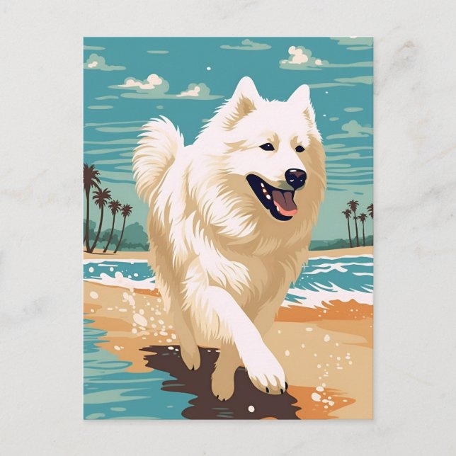 Cartão Postal Samoyed na praia (Frente)