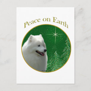 Cartão Postal Samoyed Peace