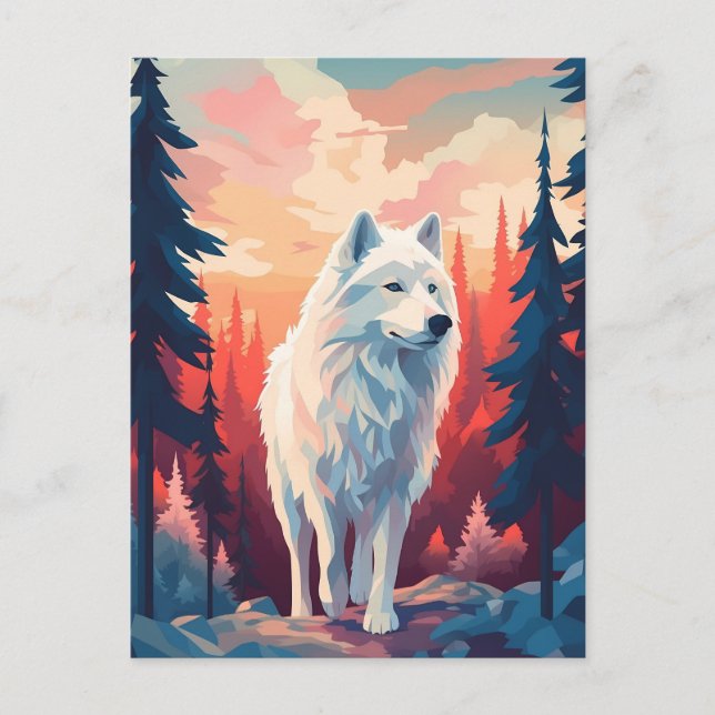 Cartão Postal Samozado na floresta durante o pôr do sol (Frente)