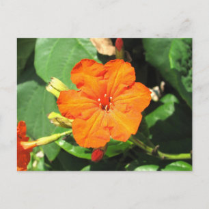 Cartão Postal San Andrés, Colômbia