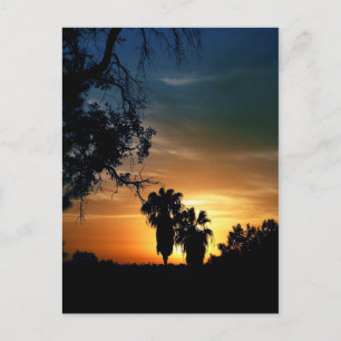 Cartão Postal San Diego Sunset