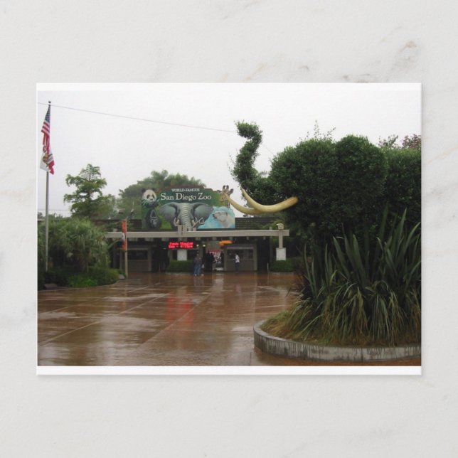 Cartão Postal San Diego Zoo (Frente)