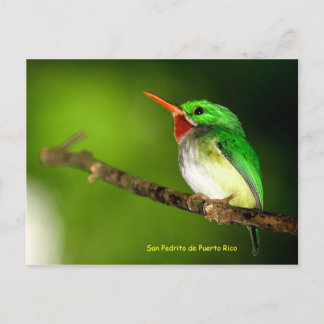 Cartão postal San Pedrito de Porto Rico