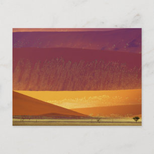 Cartão Postal Sand Dunes Namib-Naukluft National Park Namíbia