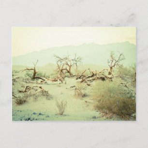 Cartão Postal Sand Dunes of Death Valley