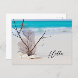 Cartão Postal Sandy Beach com White Seashells Hello