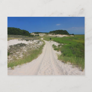 Cartão Postal Sandy Neck Beach Marsh Trail Barnstable Cape Cod