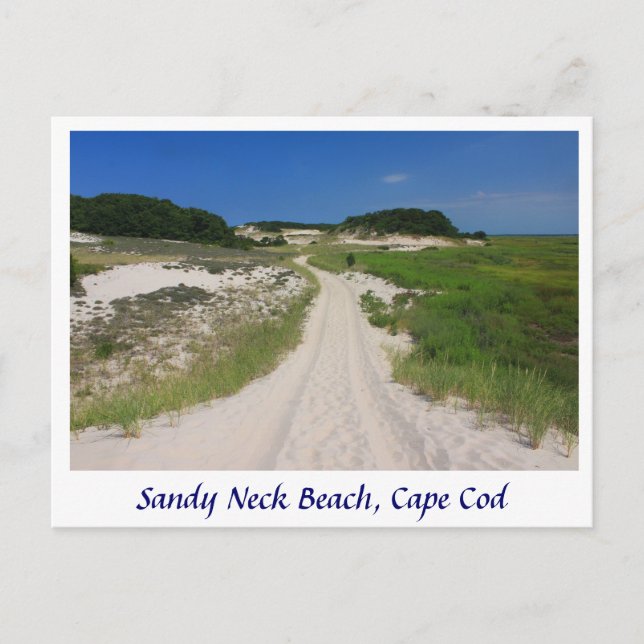 Cartão Postal Sandy Neck Marsh Trail, Sandy Neck Beach, Cape Cod (Frente)