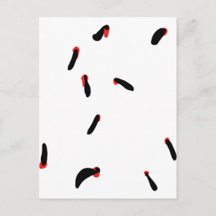 Cartão Postal sanguessuga - sanguessuga