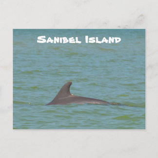Cartão Postal Sanibel Dolphin