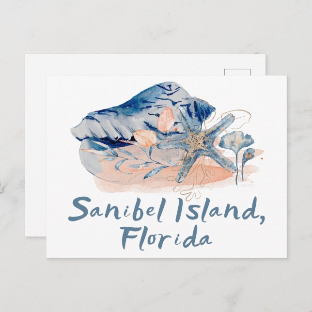 Cartão Postal Sanibel Island Seashells (Frente/Verso)