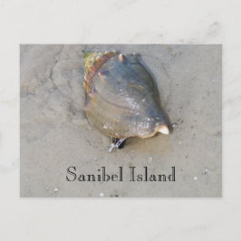Cartão Postal Sanibel Shell