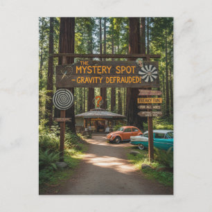 Cartão Postal Santa Cruz Califórnia O Mystery Spot
