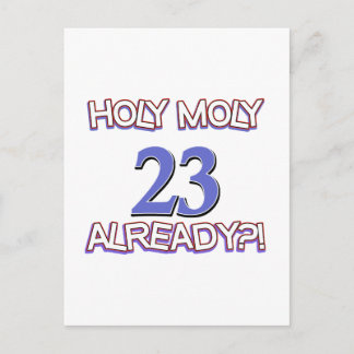 Cartão Postal Santa Moly 23 já é Design