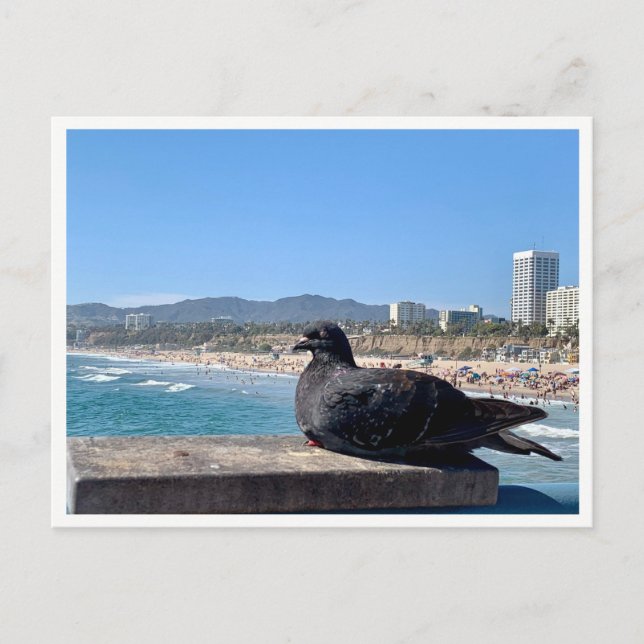 Cartão Postal Santa Mônica, CA (Frente)