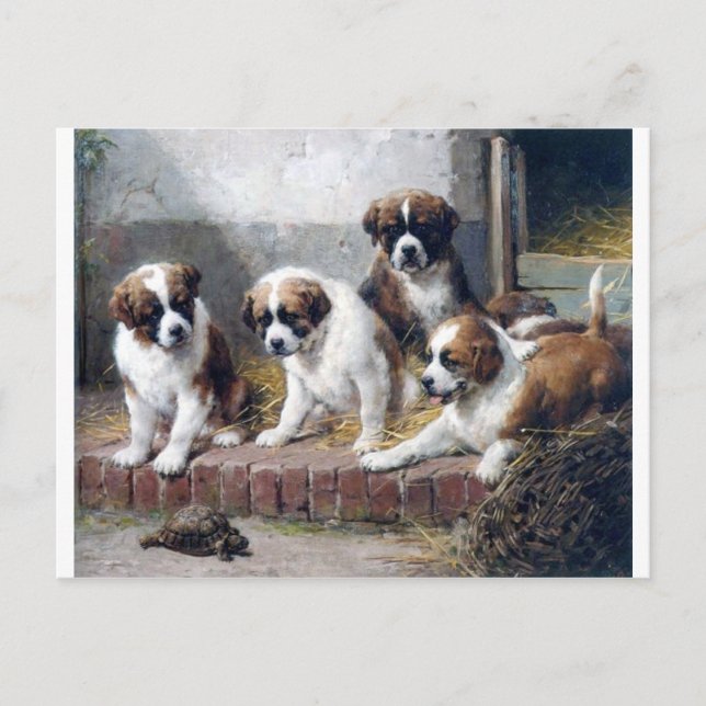 Cartão Postal Santo Bernard cachorros tartaruga pintando cachorr (Frente)