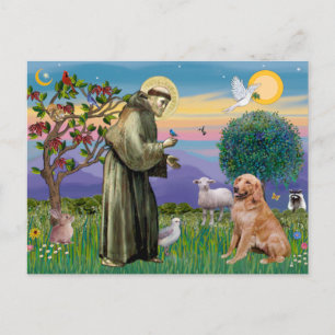 Cartão Postal Santo Francis - Retriever Ouro ( nº 1)