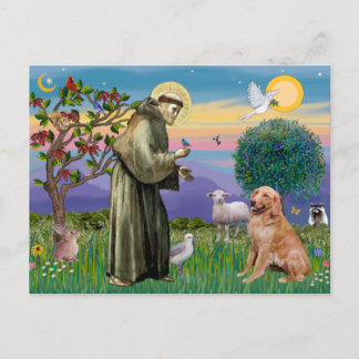 Cartão Postal Santo Francis - Retriever Ouro ( nº 1)