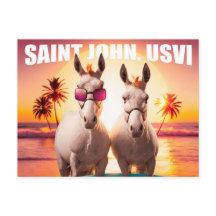 Santo John USVI Donkeys no Beach Funny Unique