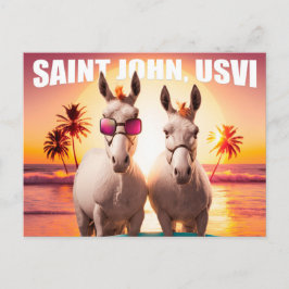Cartão Postal Santo John USVI Donkeys no Beach Funny Unique