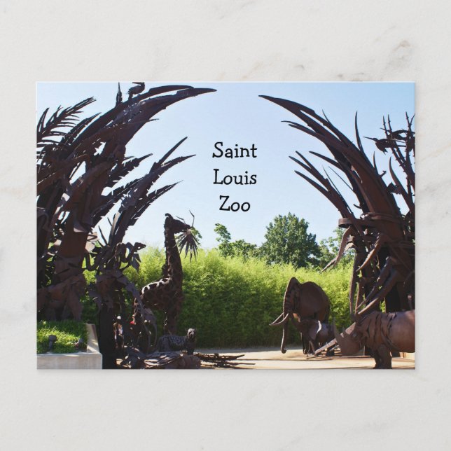 Cartão Postal Santo Louis Zoo (Frente)