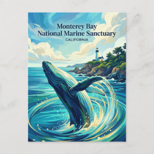 Cartão Postal Santuário Marinho Nacional da Baía de Monterey EUA