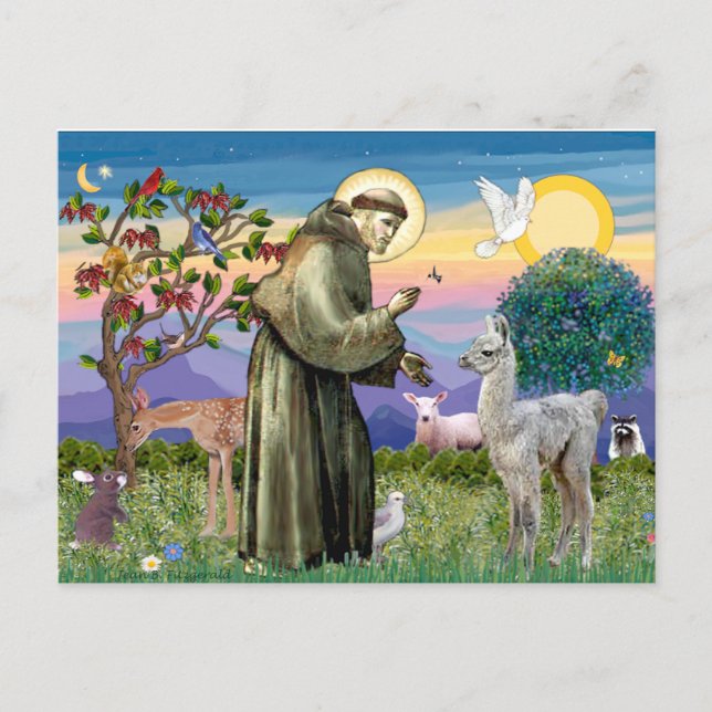 Cartão Postal São Francisco e Bebê Lhama (Frente)