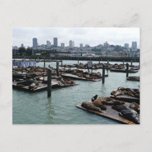 Cartão Postal São Francisco e Leões Marinhos do Pier 39 Silhueta