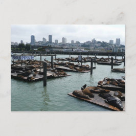 Cartão Postal São Francisco e Leões Marinhos do Pier 39 Silhueta