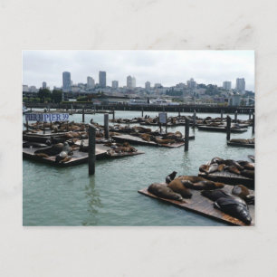 Cartão Postal São Francisco e Leões Marinhos do Pier 39 Silhueta