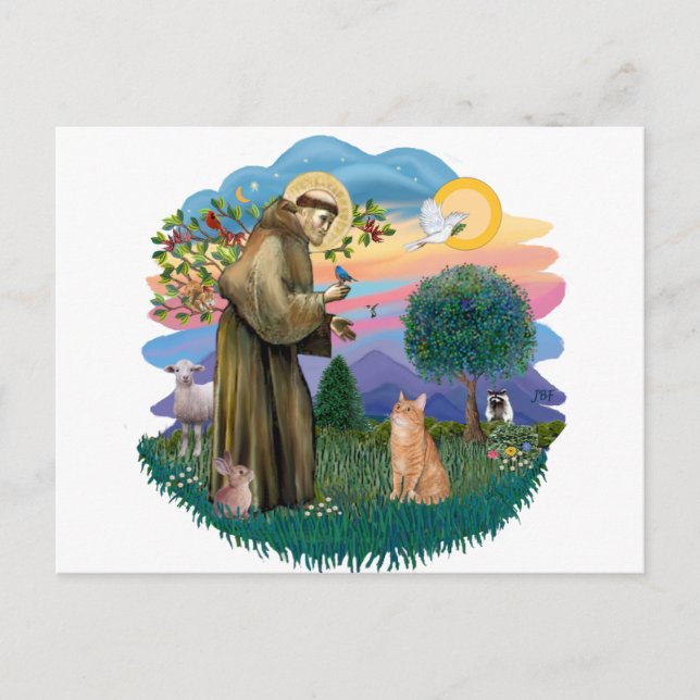 Cartão Postal São Francisco (ff) - gato laranja tabby (Frente)
