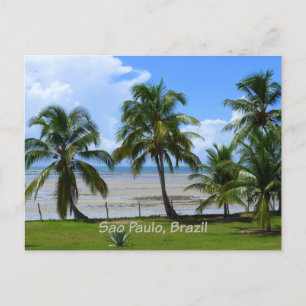 Cartão Postal São Paulo, palmeiras do Brasil