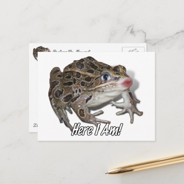 Cartão Postal Sapo Beijante, Querida! (Frente/Verso In Situ)