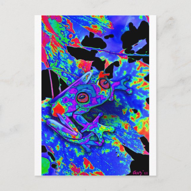 Cartão Postal Sapo Camo (Frente)