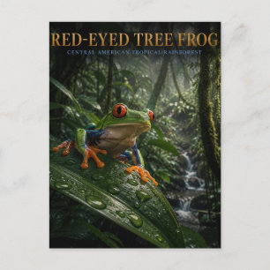 Cartão Postal Sapo de Olho Vermelho da Floresta Tropical ANIMAIS