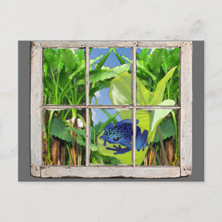 Cartão Postal Sapo do dardo do veneno