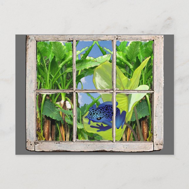 Cartão Postal Sapo do dardo do veneno (Frente)