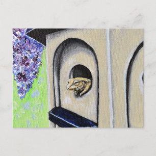 Cartão Postal Sapo em Cartão-postal de pintura de Birdhouse