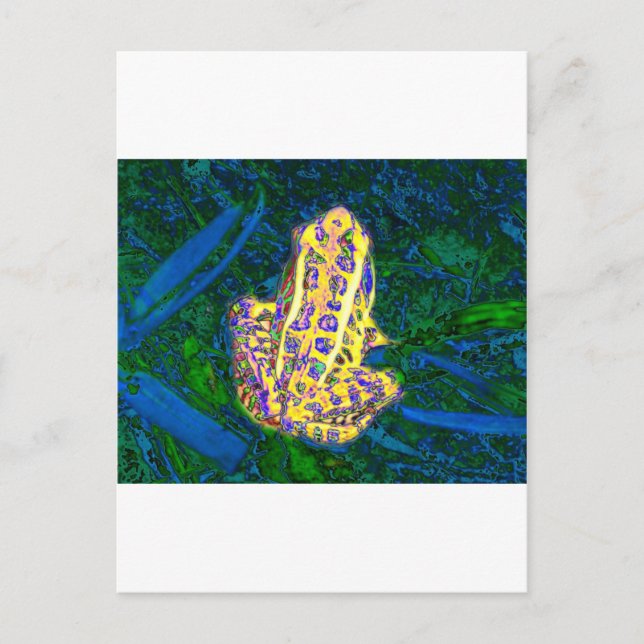 Cartão Postal Sapo na grama (Frente)