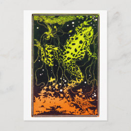 Cartão Postal Sapo nadando por Julie de Graag arte vintage